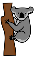 Koala