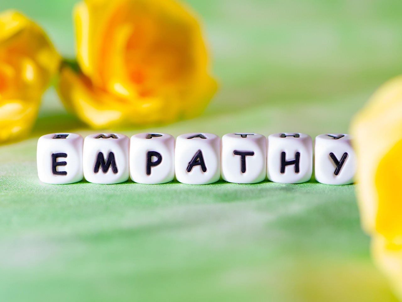 Empathy letter blocks