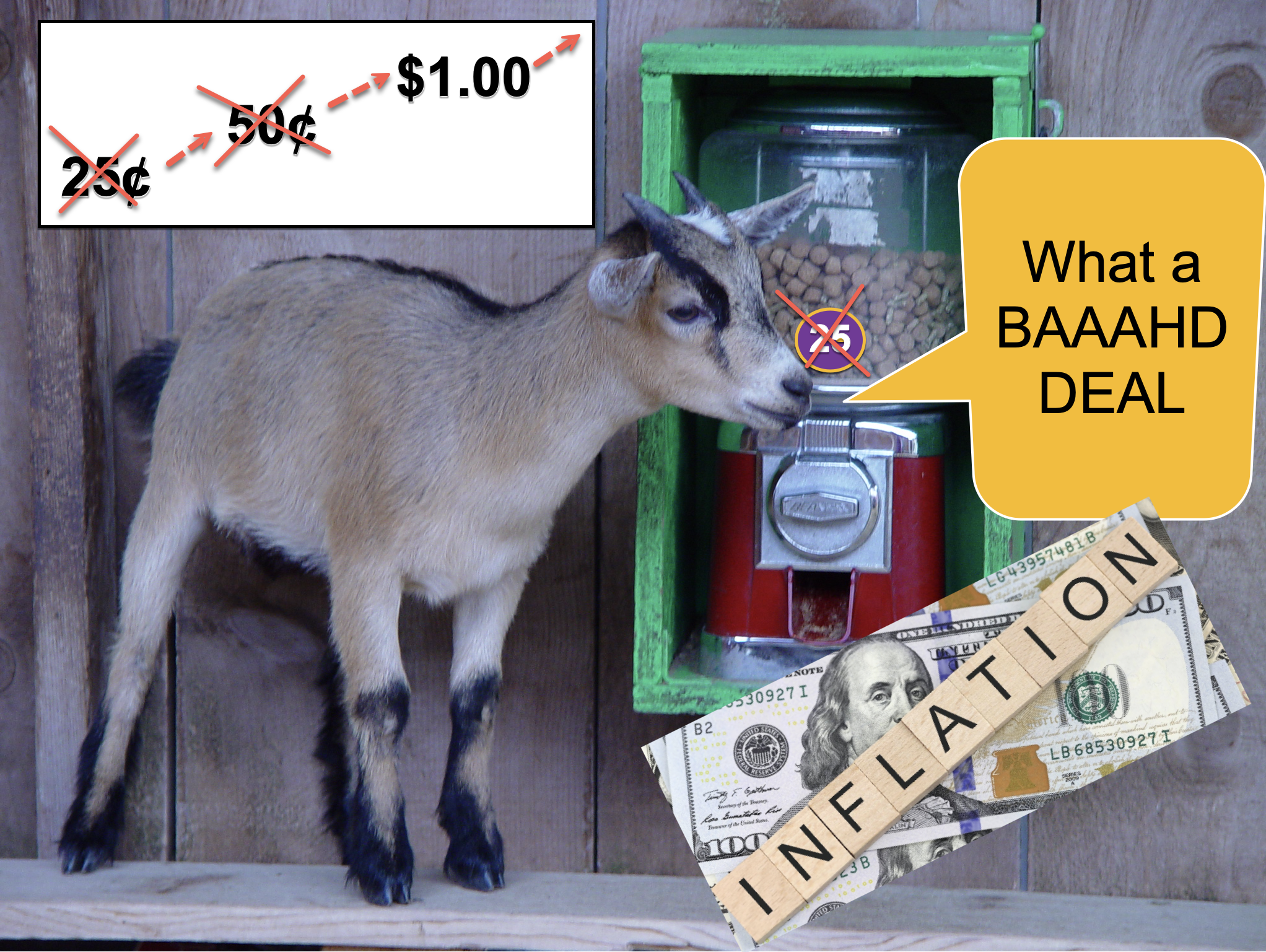 Shows goat by a food vending machine with the price inflation.