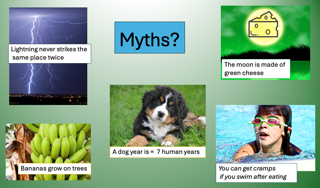 Screenshot of 5 common myths